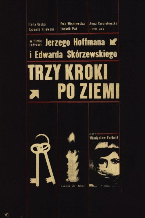 Movie poster for Trzy kroki po ziemi (1965)