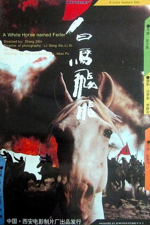 Movie poster for Feifei (1996)