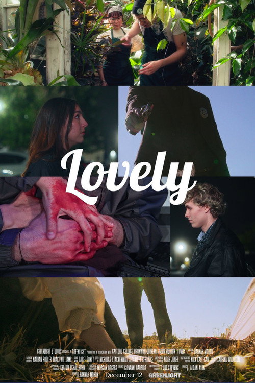 Movie poster for Lovely (2025)
