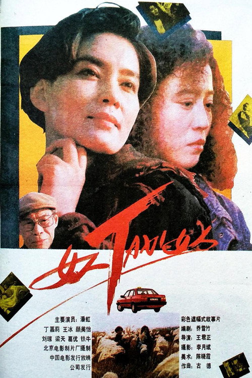 Movie poster for Woman-Taxi-Woman (1991)