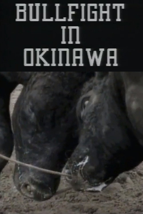 Movie poster for Bullfight in Okinawa (1994)