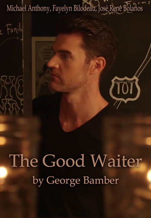 Movie poster for The Good Waiter (2016)
