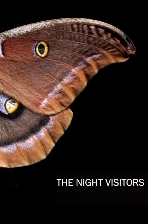 Movie poster for The Night Visitors (2023)