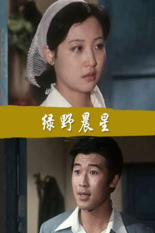 Movie poster for Lü Ye Chen Xing (1983)