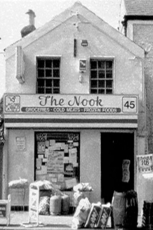 Movie poster for The Nook
