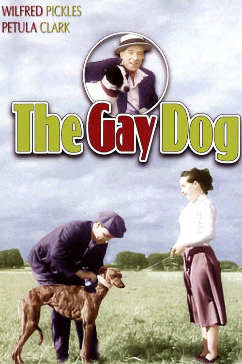 Movie poster for The Gay Dog (1954)