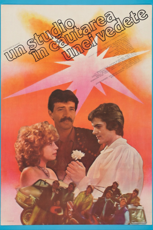 Movie poster for A Studio Searching for a Star (1988)