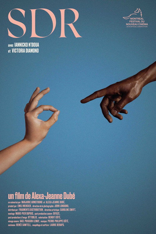 Movie poster for S.D.R. (2019)