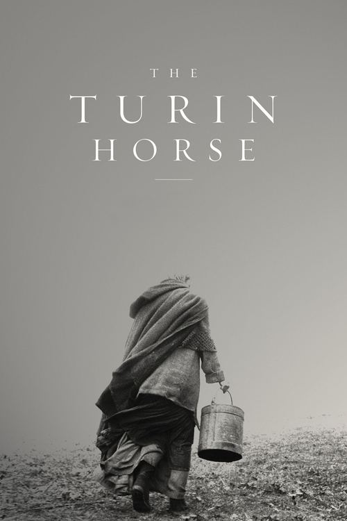 Movie poster for The Turin Horse (2011)