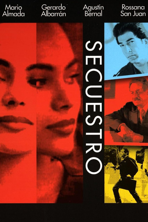 Movie poster for Secuestro (1995)