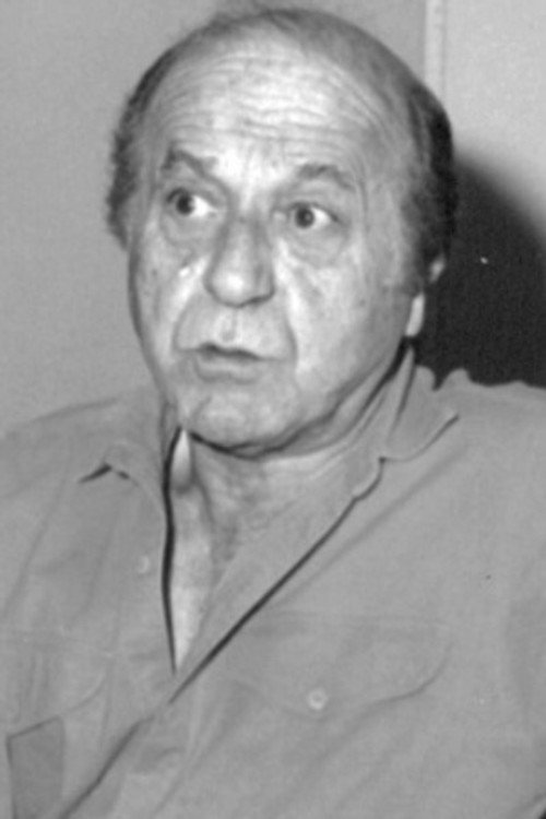 Photo of Syamak Yasami, Directing