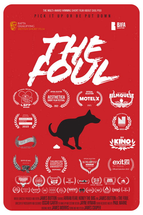 Movie poster for The Foul (2021)