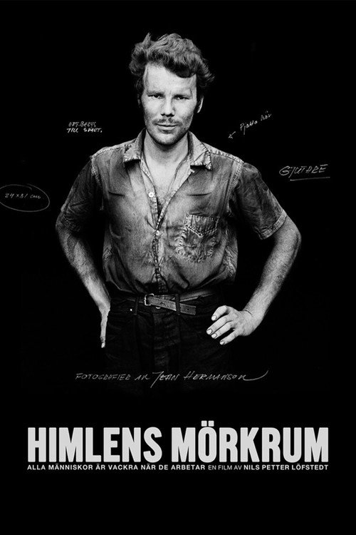 Movie poster for Himlens mörkrum (2017)