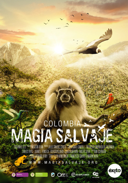 Movie poster for Colombia: Wild Magic (2015)
