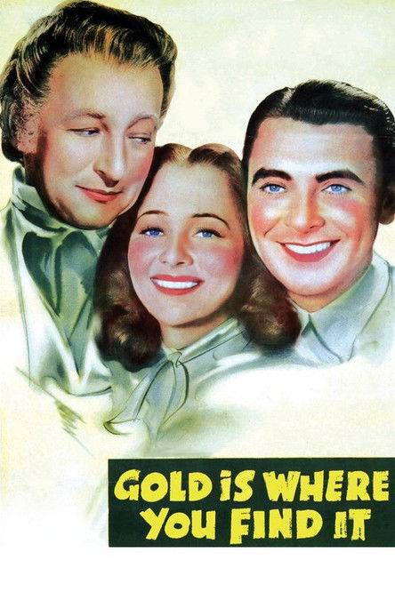 Movie poster for Gold Is Where You Find It (1938)
