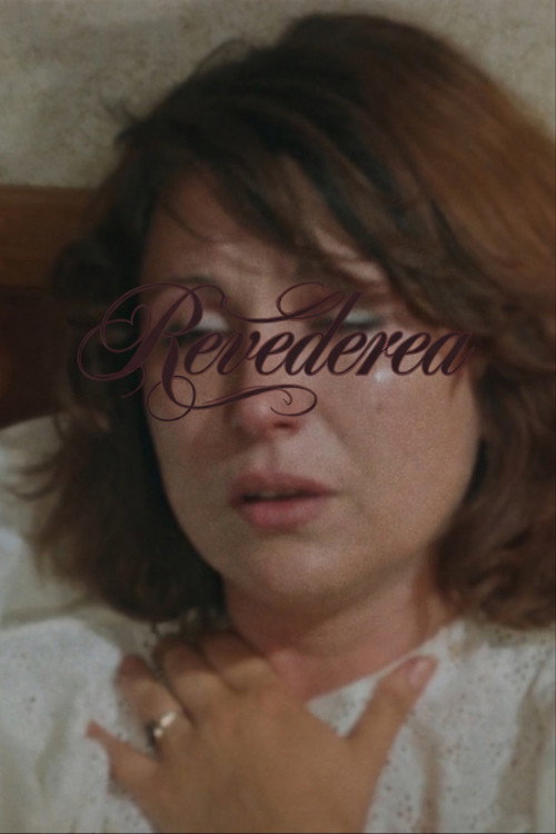 Movie poster for The Reunion (1990)
