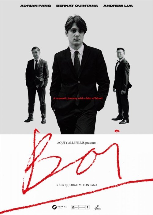 Movie poster for Boi (2019)