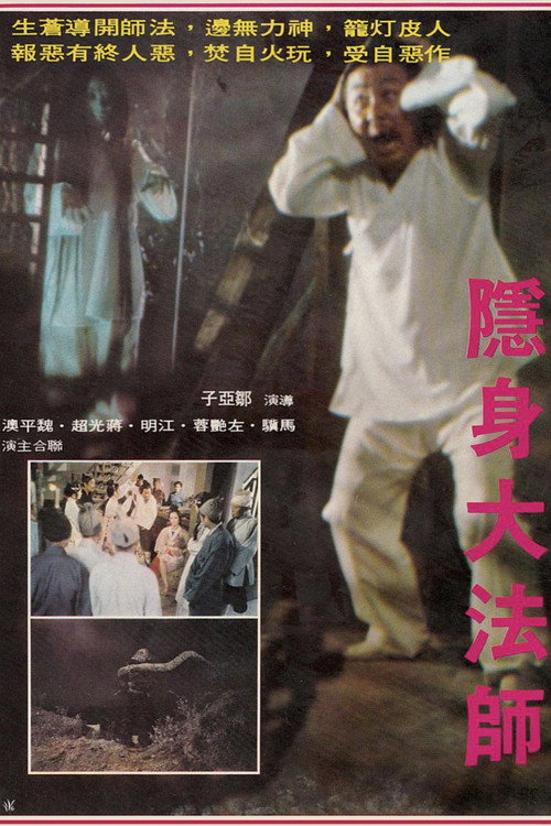 Movie poster for Invisible Master (1975)