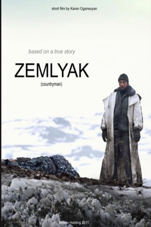 Movie poster for Zemlyak (2010)