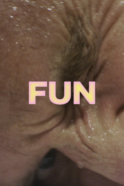 Movie poster for FUN