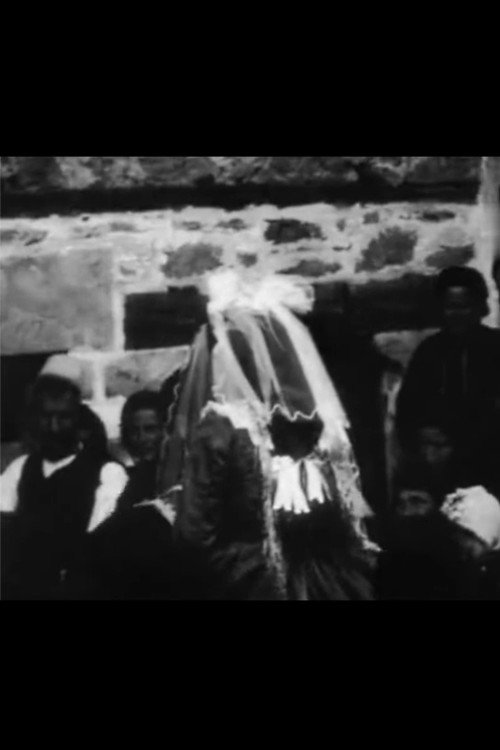 Movie poster for Village Wedding (1905)