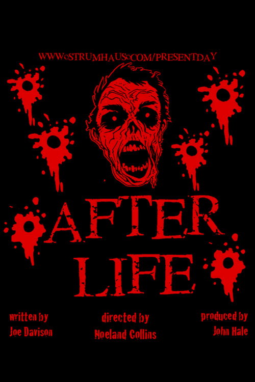 Movie poster for Afterlife (2002)