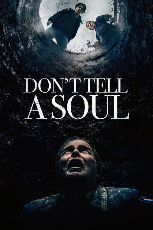 Movie poster for Don't Tell a Soul (2020)