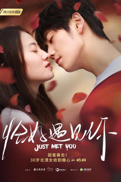 Movie poster for Just Met You (2019)