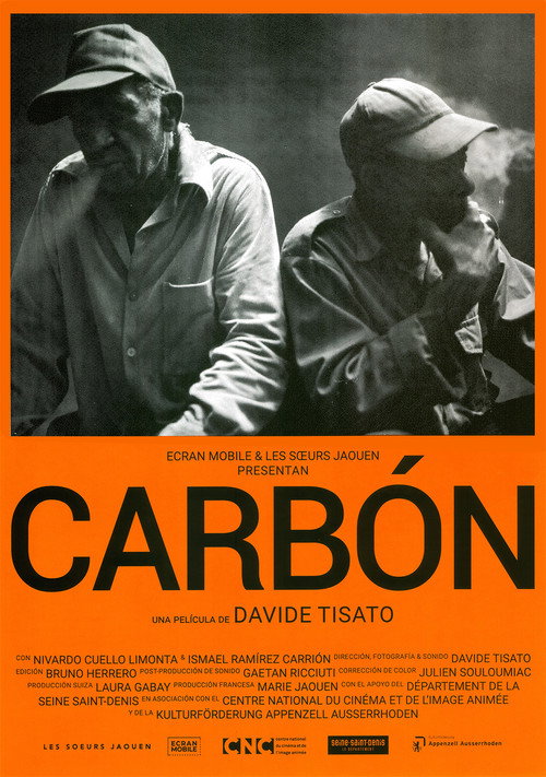 Movie poster for Carbón