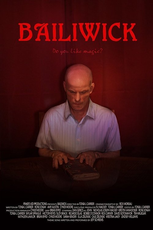 Movie poster for Bailiwick (2017)