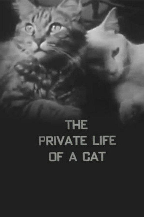 Movie poster for The Private Life of a Cat (1946)