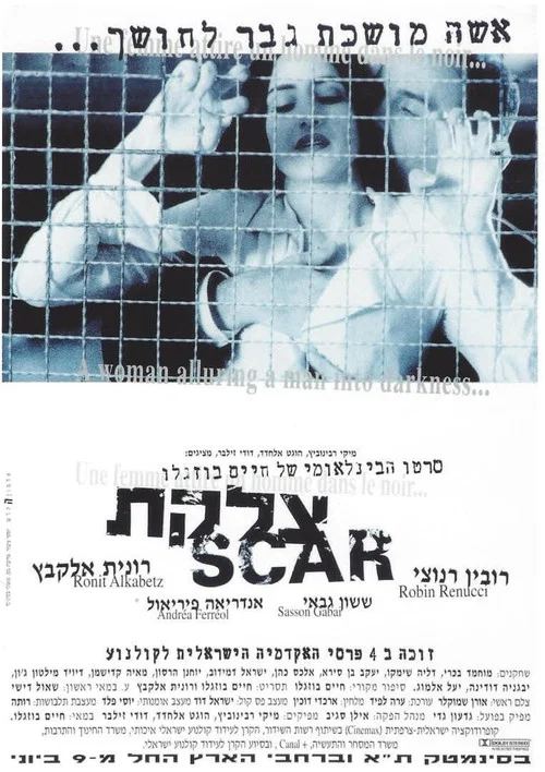 Movie poster for Scar (1995)