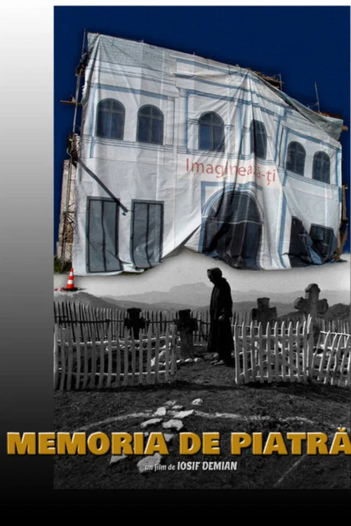 Movie poster for Stone memory