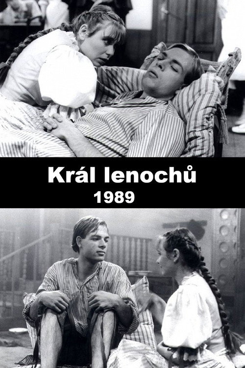 Movie poster for Král lenochů (1989)