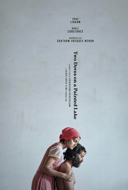 Movie poster for Two Doves on a Painted Lake (2020)