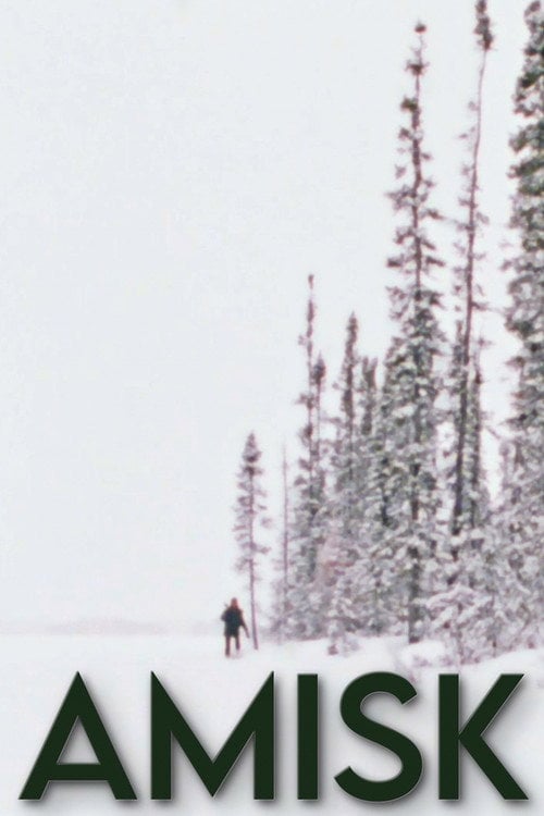 Movie poster for Amisk (1977)