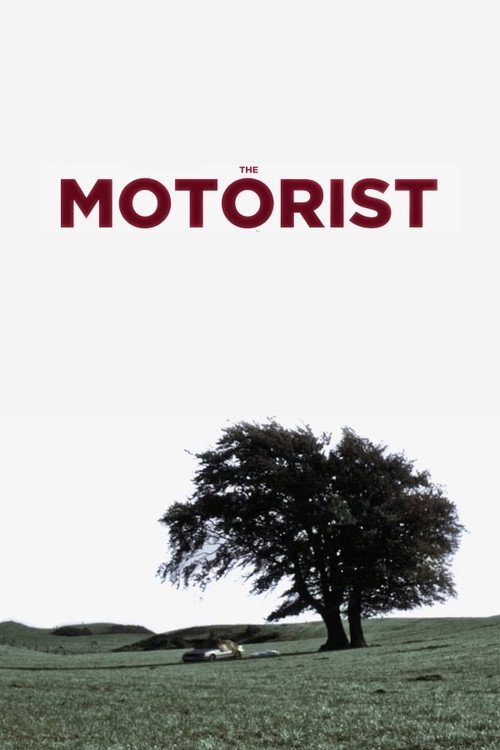 Movie poster for The Motorist (2020)