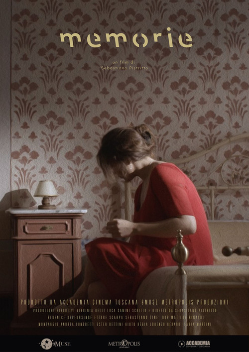 Movie poster for Memorie
