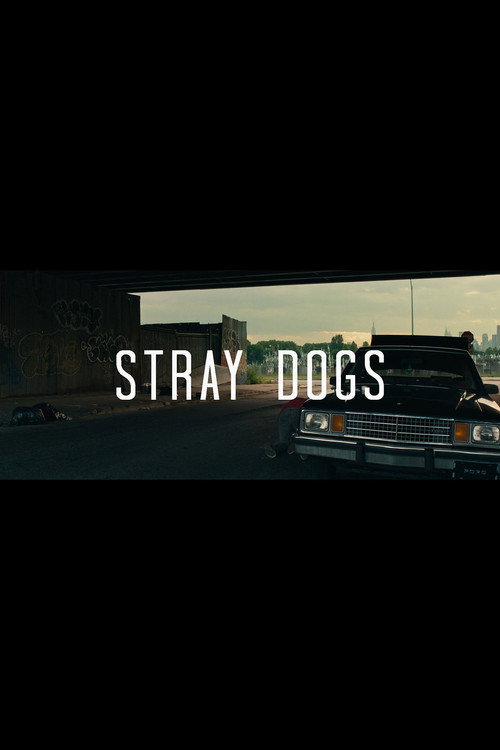 Movie poster for Stray Dogs (2015)