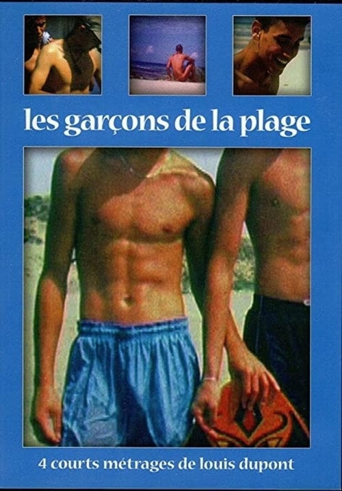 Movie poster for Beach Boys (2004)