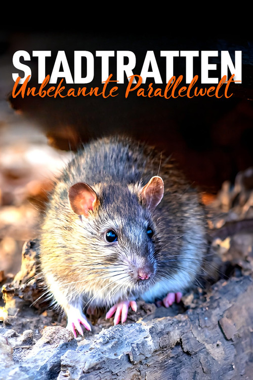 Movie poster for Stadtratten - Unbekannte Parallelwelt (2023)