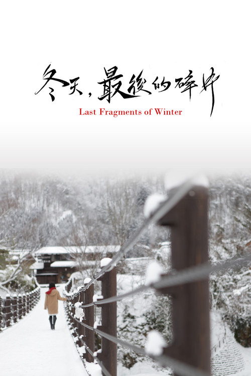 Movie poster for Last Fragments of Winter (2011)