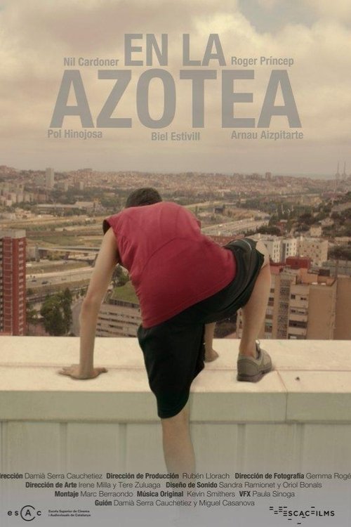 Movie poster for On the Roof (2015)