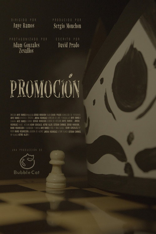 Movie poster for Promotion (2025)