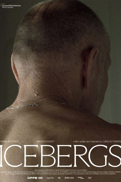 Movie poster for Icebergs (2024)