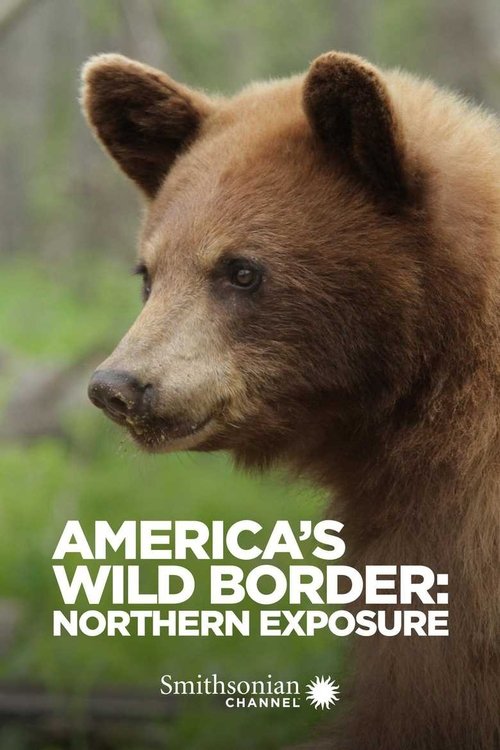 Movie poster for America's Wild Border: Northern Exposure (2020)
