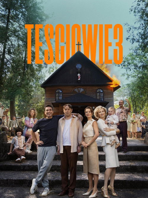Movie poster for The In-Laws 3 (2025)