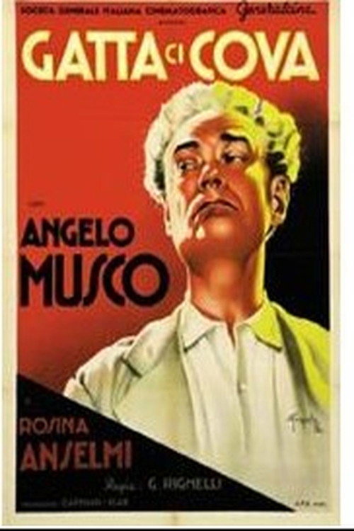 Movie poster for Gatta ci cova (1937)