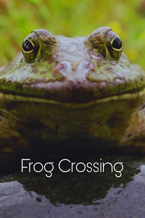 Movie poster for Frog Crossing (1996)