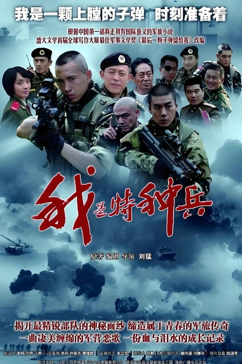 Series poster for Loaded Bullets (2011)